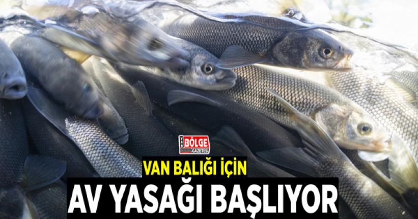 Van Balığı için av yasağı başlıyor