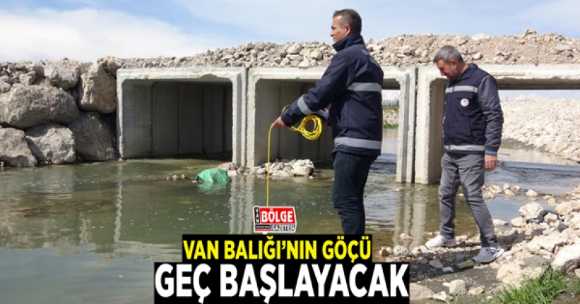 Van Balığı'nın göçü geç başlayacak