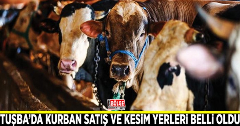 Tuşba’da kurban satış ve kesim yerleri belli oldu