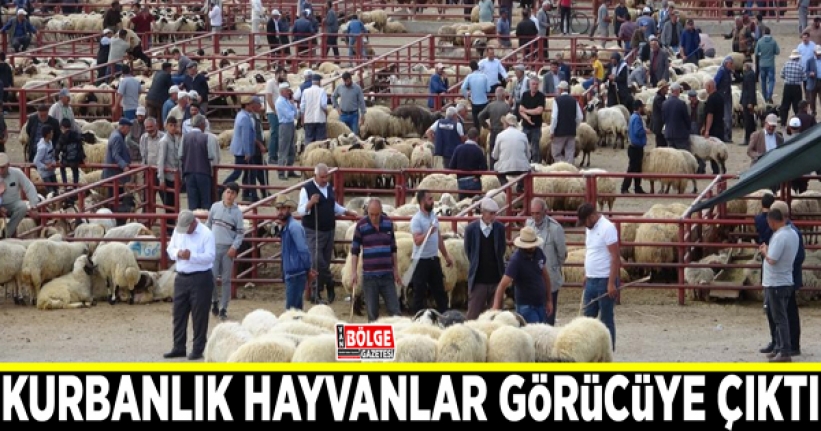 Van’da kurbanlık hayvanlar görücüye çıktı