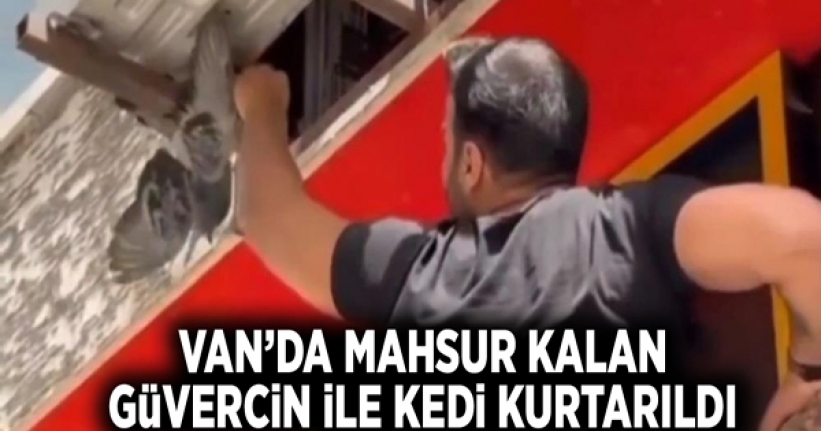 Van’da mahsur kalan güvercin ile kedi kurtarıldı