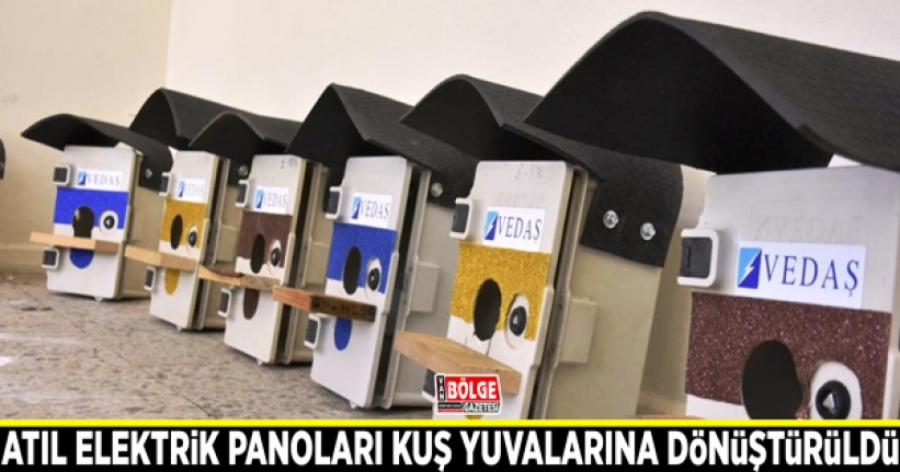 Atıl durumdaki elektrik panoları kuş yuvalarına dönüştürüldü