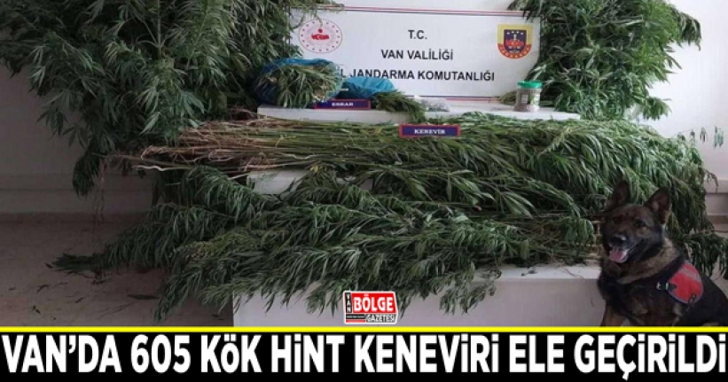 Van’da hint keneviri ele geçirildi