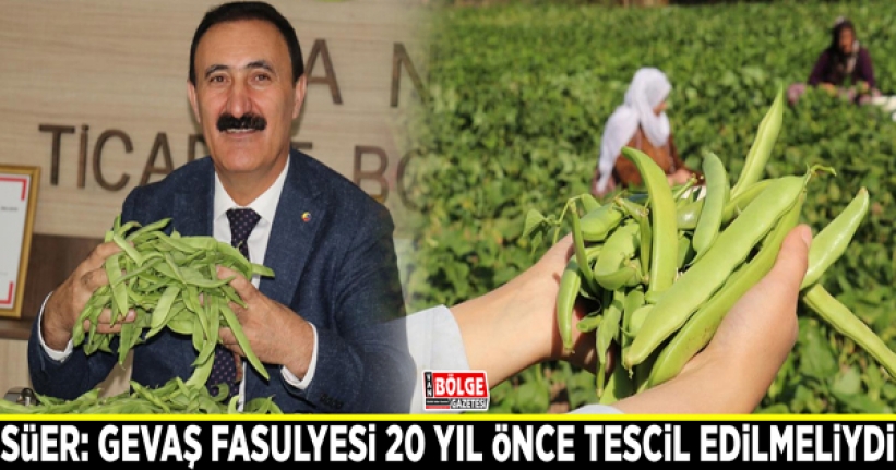 Süer: Gevaş fasulyesi 20 yıl önce tescil edilmeliydi