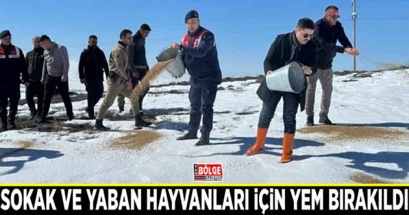 Sokak ve yaban hayvanları için yem bırakıldı