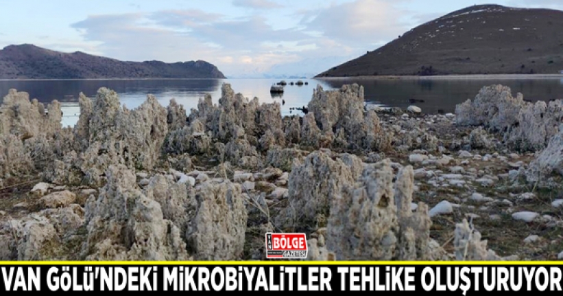 Van Gölü'ndeki mikrobiyalitler tehlike oluşturuyor