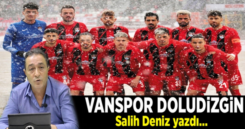 Vanspor doludizgin