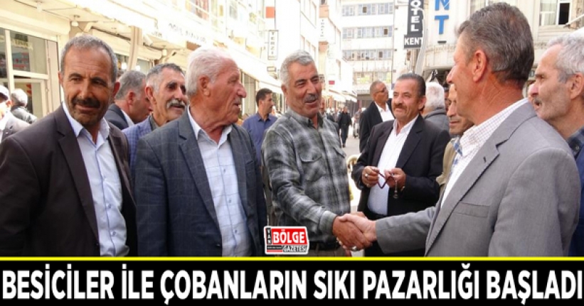 Besiciler ile çobanların sıkı pazarlığı başladı