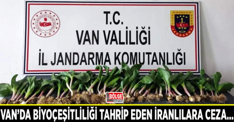 Van’da biyoçeşitliliği tahrip eden İranlılara ceza…