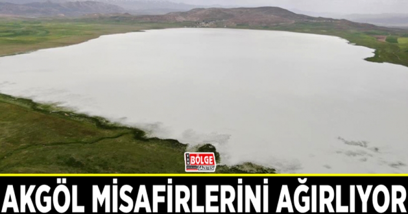 Bu yıl kurumayan Akgöl misafirlerini ağırlıyor