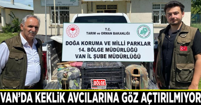 Keklik avcılarına göz açtırılmıyor