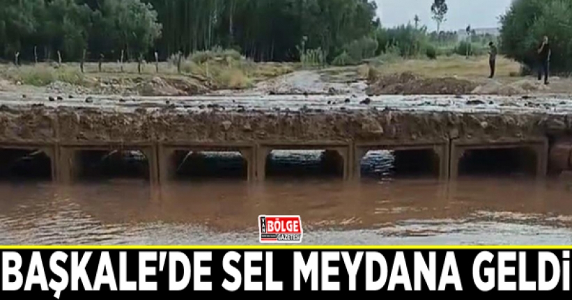 Başkale'de sel meydana geldi