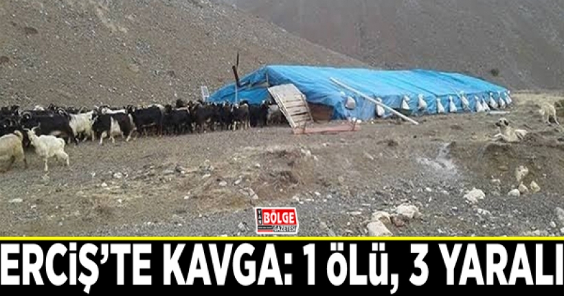 Erciş’te kavga: 1 ölü, 3 yaralı