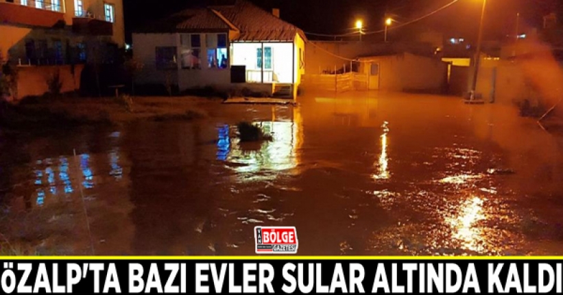 Özalp'ta bazı evler sular altında kaldı