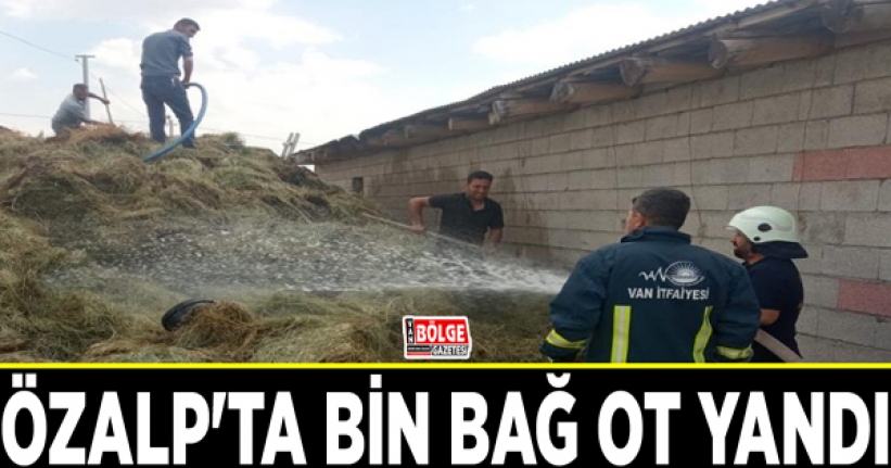 Özalp'ta bin bağ ot yandı