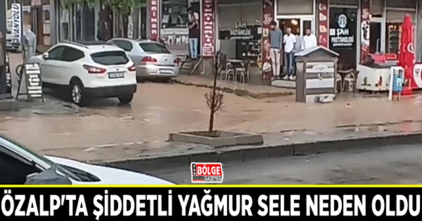 Özalp'ta şiddetli yağmur sele neden oldu