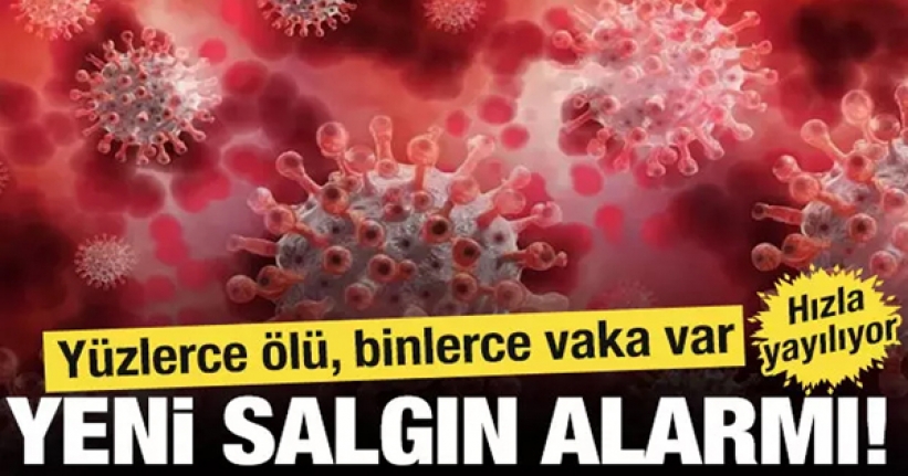 Telaşlandıran yeni salgın! Hızla yayılıyor