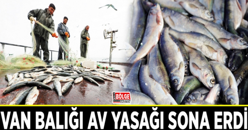 Van Balığı av yasağı sona erdi