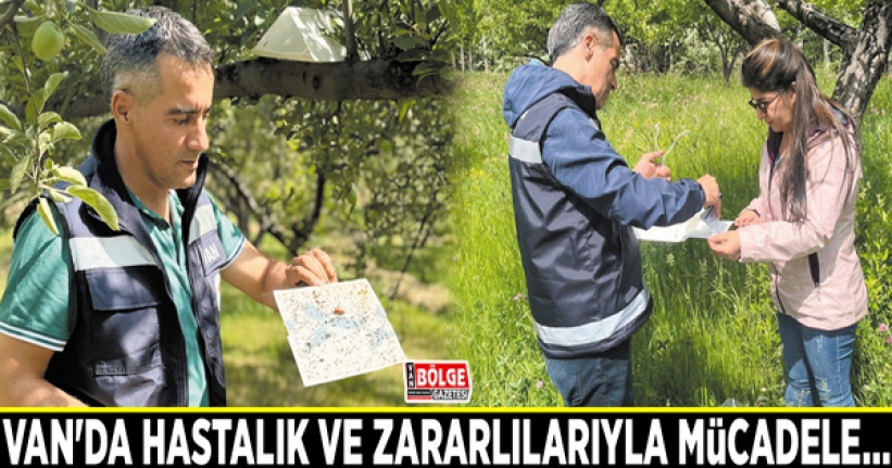 Van'da hastalık ve zararlılarıyla mücadele…