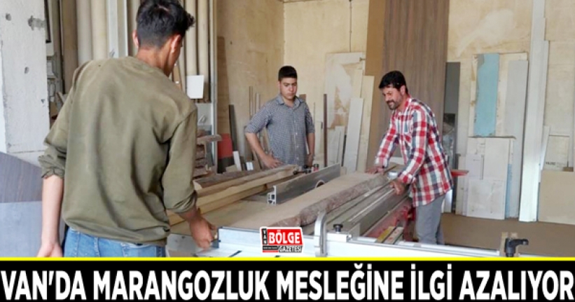 Van'da marangozluk mesleğine ilgi azalıyor