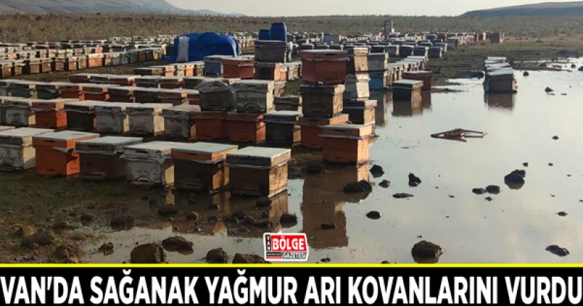 Van'da sağanak yağmur arı kovanlarını vurdu