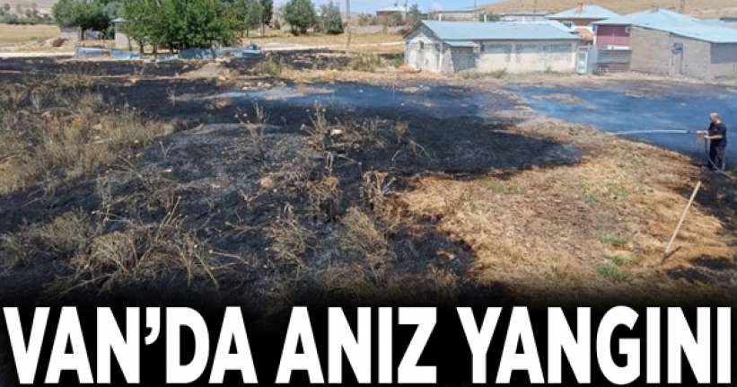 Van’da anız yangını