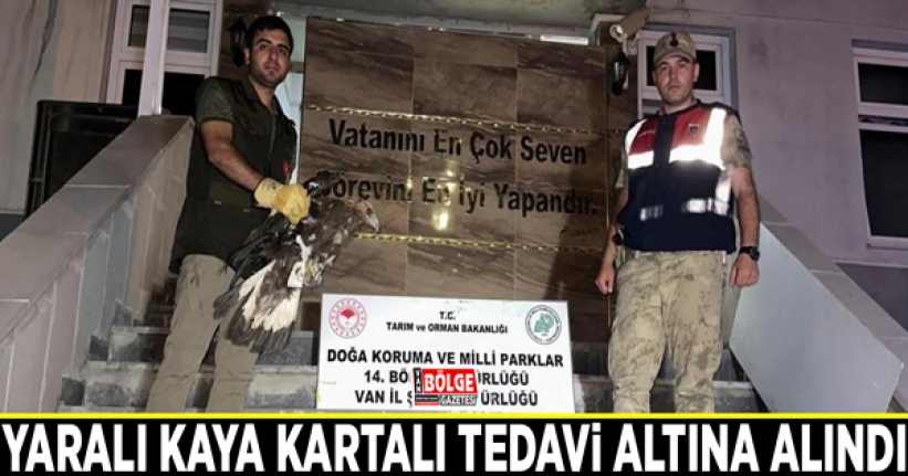 Yaralı Kaya Kartalı tedavi altına alındı