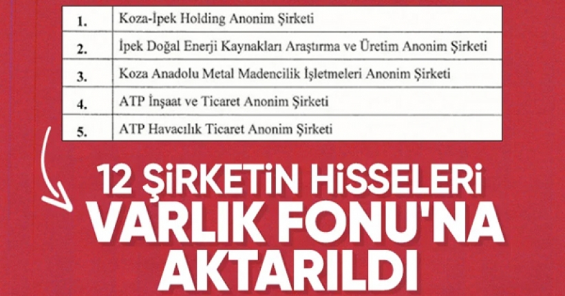 12 şirketin hisseleri Türkiye Varlık Fonu'na aktarıldı