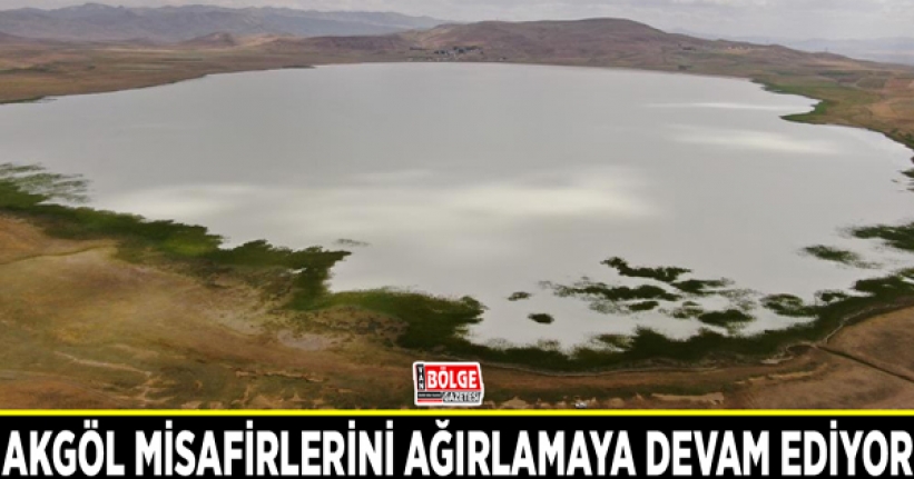 Akgöl misafirlerini ağırlamaya devam ediyor