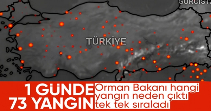 Bakan Yumaklı, yangınların çıkış nedenini açıkladı