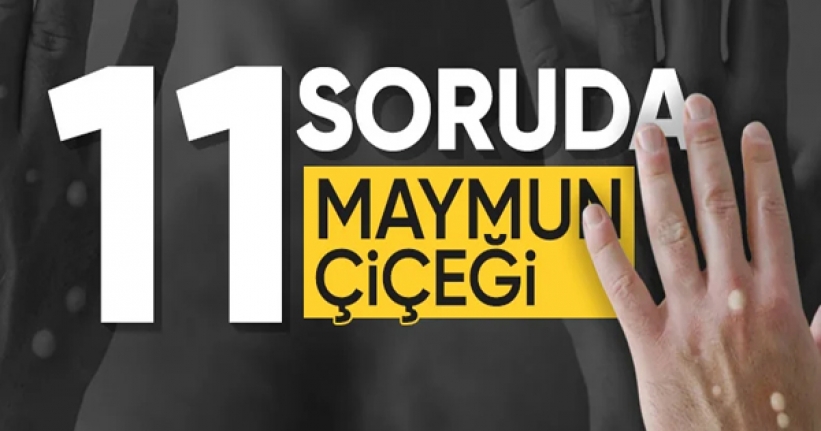 İşte 11 soruda maymun çiçeğiyle ilgili merak edilenler...