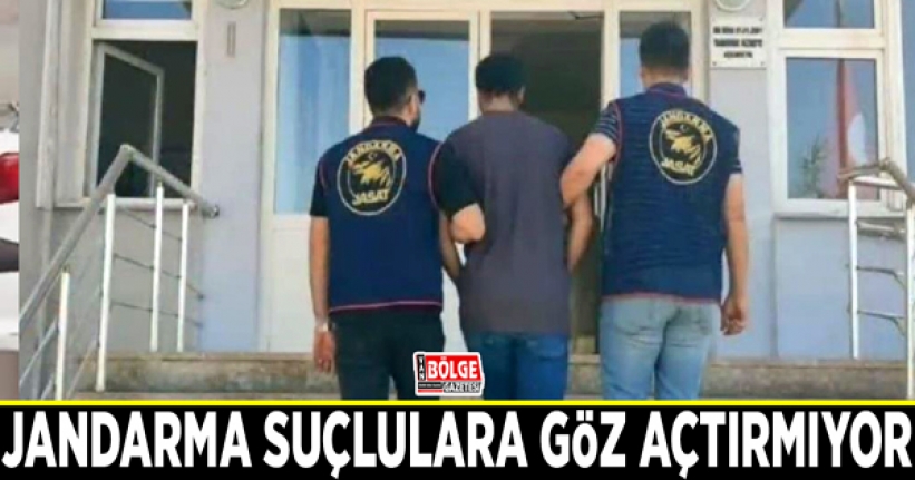 Jandarma suçlulara göz açtırmıyor