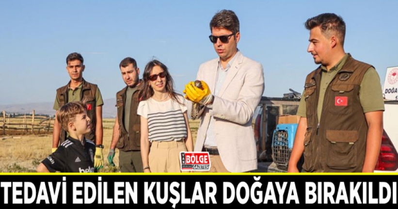 Tedavi edilen kuşlar doğaya bırakıldı