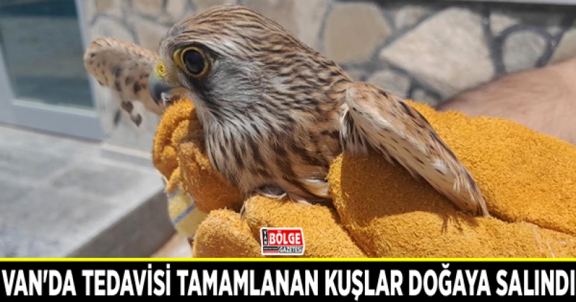 Tedavisi tamamlanan kuşlar doğaya salındı