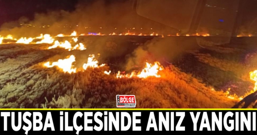 Tuşba ilçesinde anız yangını