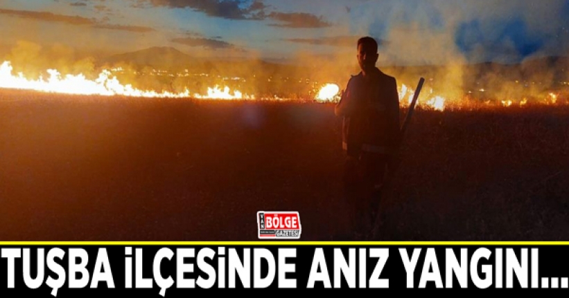 Tuşba ilçesinde anız yangını…