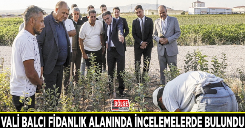 Vali Balcı fidanlık alanında incelemelerde bulundu