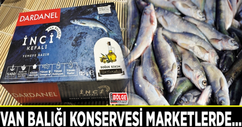 Van Balığı konservesi marketlerde…