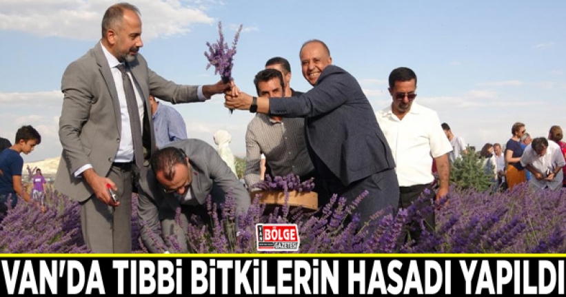 Van'da tıbbi bitkilerin hasadı yapıldı