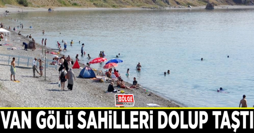 Van Gölü sahilleri dolup taştı