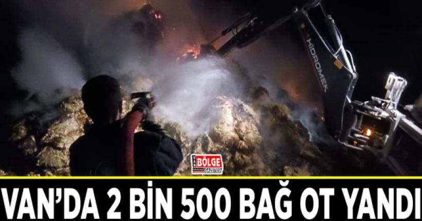 Van’da 2 bin 500 bağ ot yandı