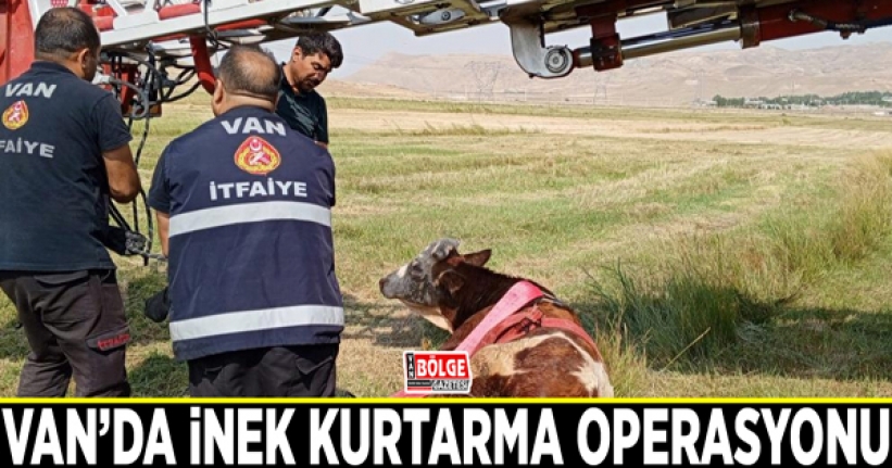 Van’da inek kurtarma operasyonu