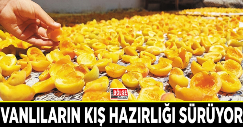 Vanlıların kış hazırlığı sürüyor