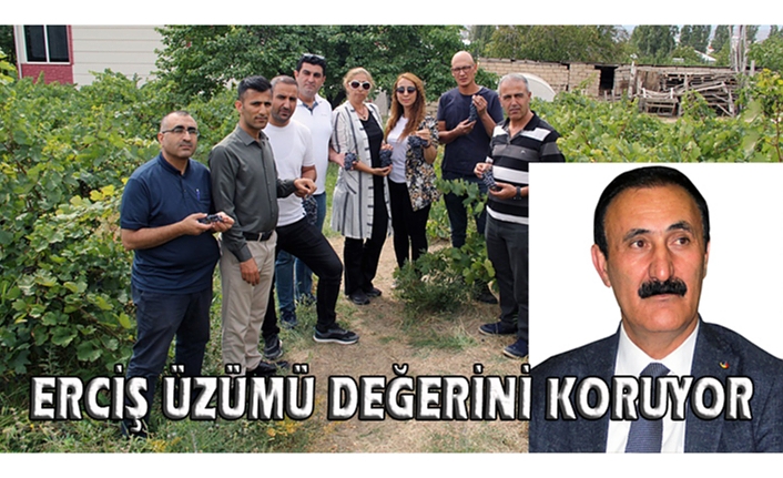 Erciş Üzümü değerini koruyor