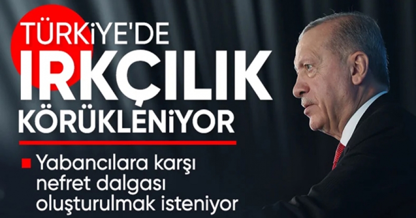 Erdoğan: Irkçılık adı altında "Türkiye" düşmanlığı yapılıyor