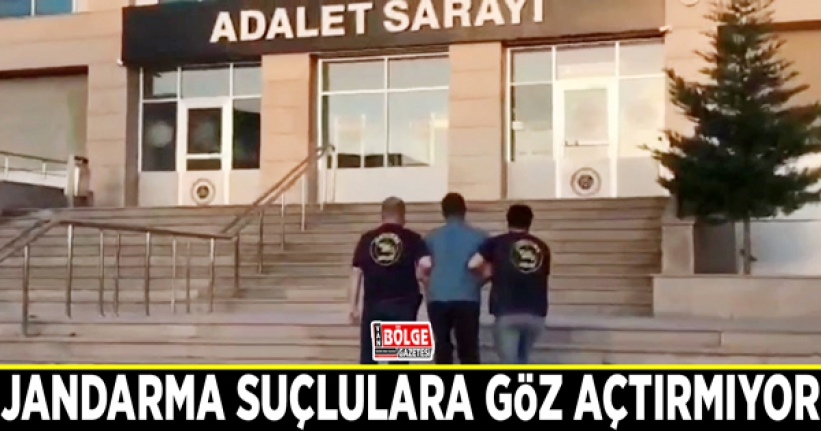 Jandarma suçlulara göz açtırmıyor