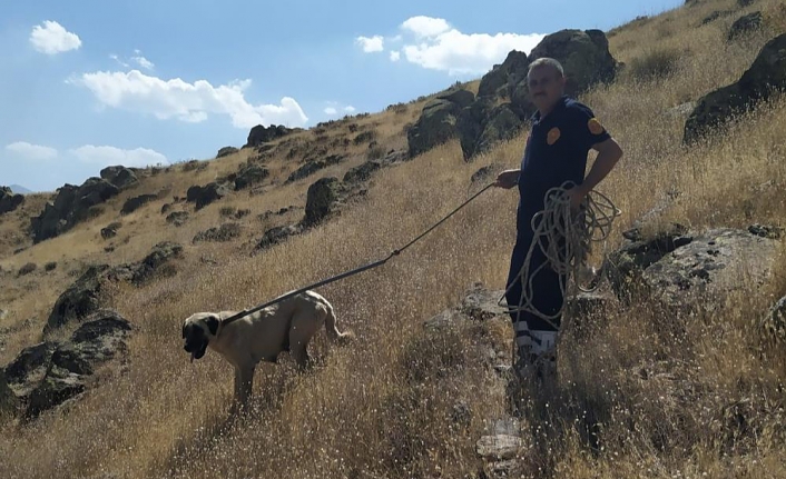 Kayalıklarda mahsur kalan köpek kurtarıldı