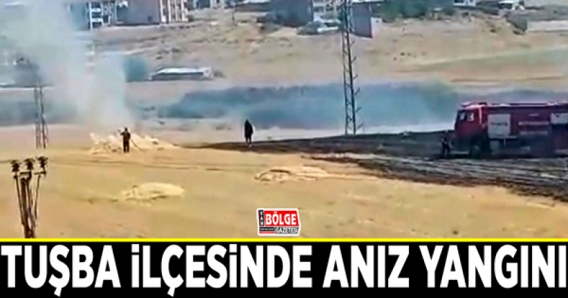 Tuşba ilçesinde anız yangını