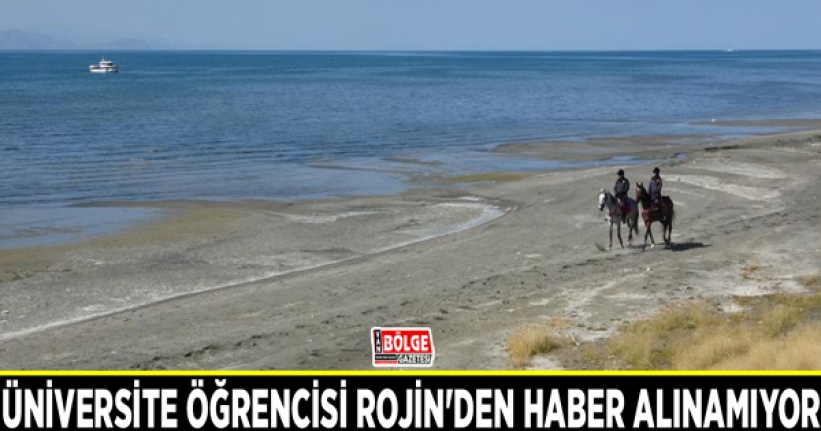 Üniversite öğrencisi Rojin'den haber alınamıyor