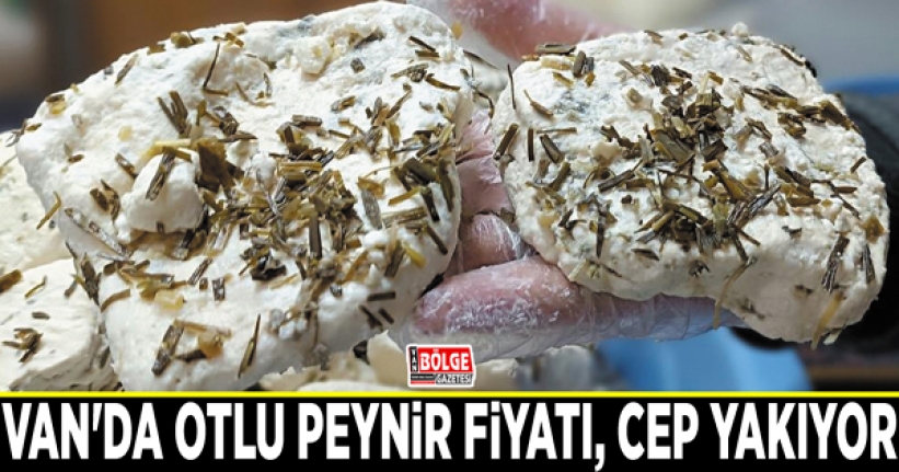 Van'da otlu peynir fiyatı, cep yakıyor